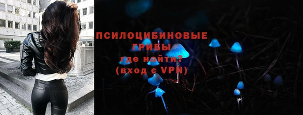 дурь Слюдянка